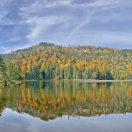 Forest Moment Familien Auszeit & Wellness Apartman